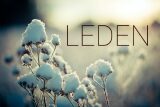 Leden