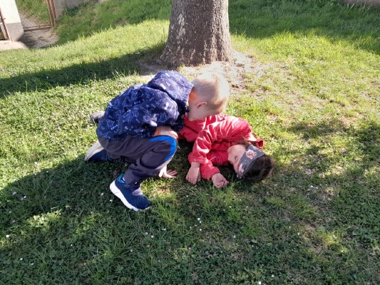 Obrázek v galerii