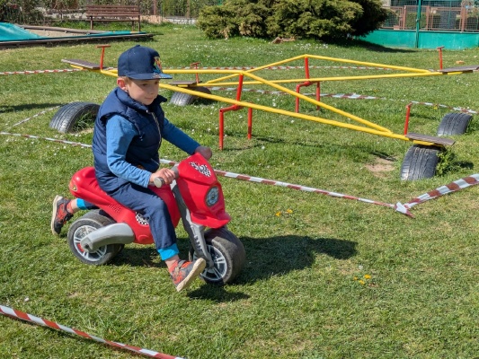 Obrázek v galerii
