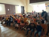Obrázek v galerii