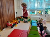 Obrázek v galerii