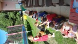Obrázek v galerii