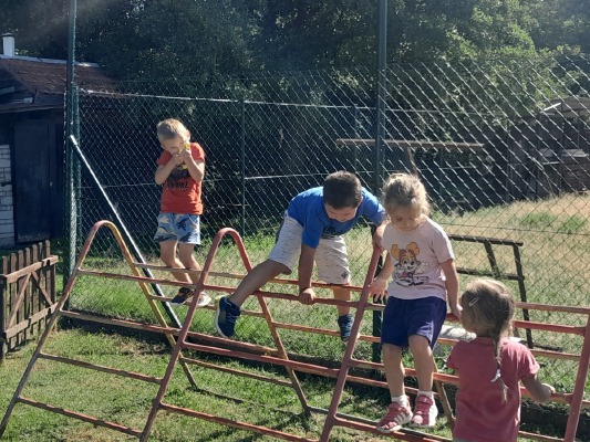 Obrázek v galerii