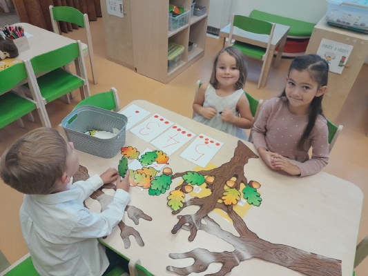 Obrázek v galerii