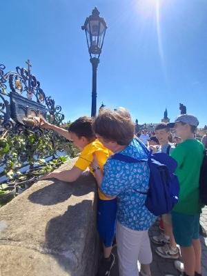Obrázek v galerii