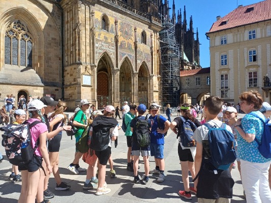 Obrázek v galerii