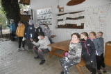 Obrázek v galerii
