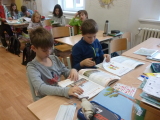 Obrázek v galerii