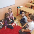 Obrázek v galerii