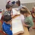 Obrázek v galerii