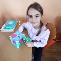 Obrázek v galerii