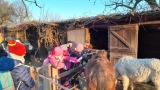 Obrázek v galerii