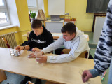 Obrázek v galerii
