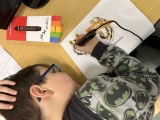 Obrázek v galerii