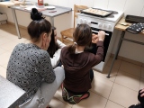 Obrázek v galerii