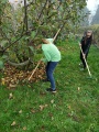 Pč 6 - Zazimování školní zahrady