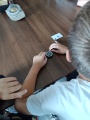 Obrázek v galerii