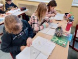 Obrázek v galerii