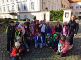 Obrázek v galerii