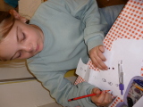 Obrázek v galerii