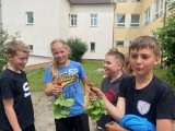 Sklizeň 4. třídy