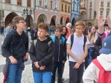 Obrázek v galerii