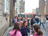 Obrázek v galerii