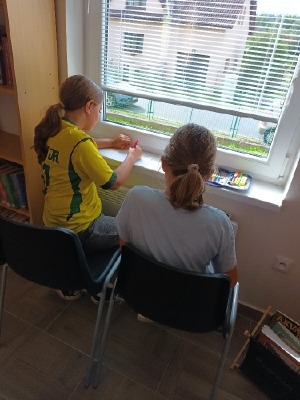 Obrázek v galerii