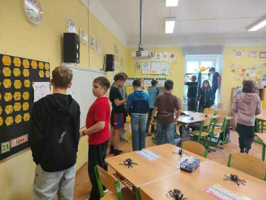 Obrázek v galerii