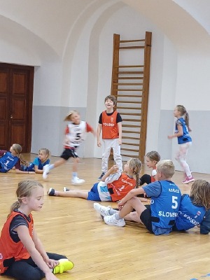 Obrázek v galerii