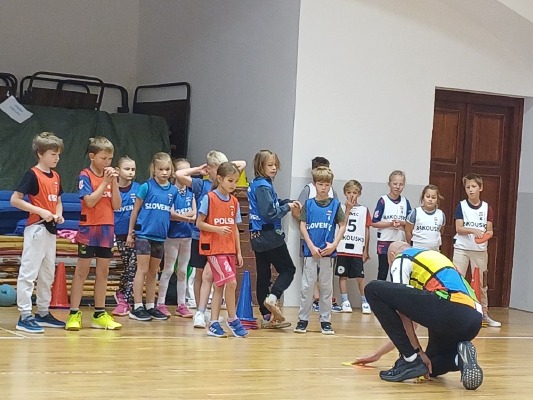 Obrázek v galerii