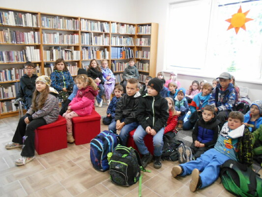 Obrázek v galerii