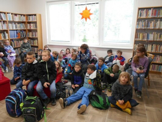 Obrázek v galerii
