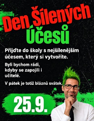 Den šílených účesů, akce ŽP